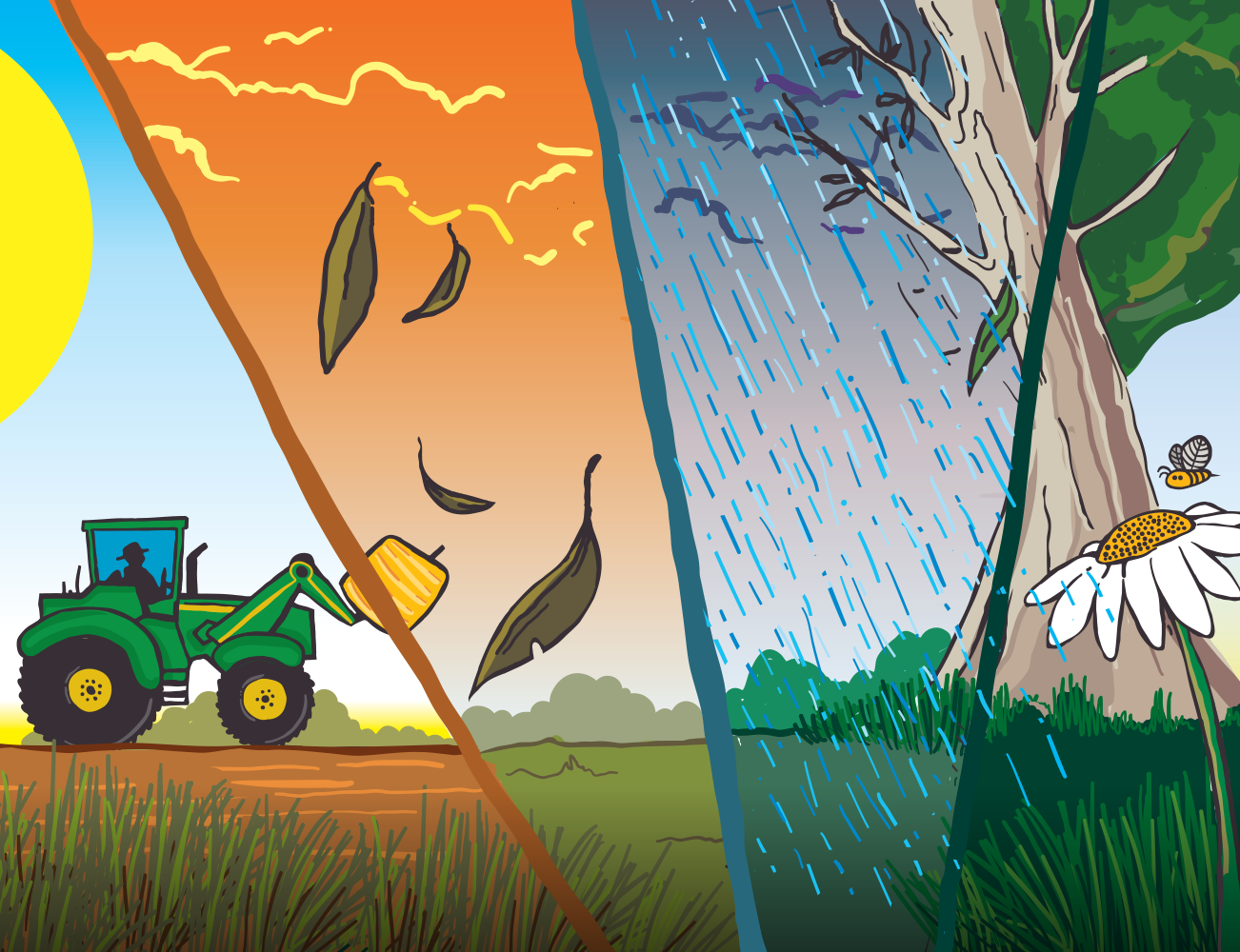 GEORGE THE FARMER PLANTS A WHEAT CROP PICTURE BOOK