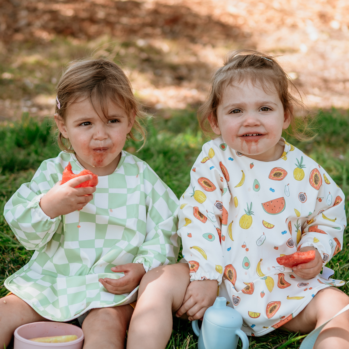 CLEMENTINE BIB