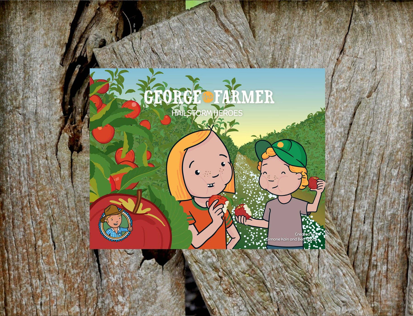 GEORGE THE FARMER HAILSTORM HEROES PICTURE BOOK