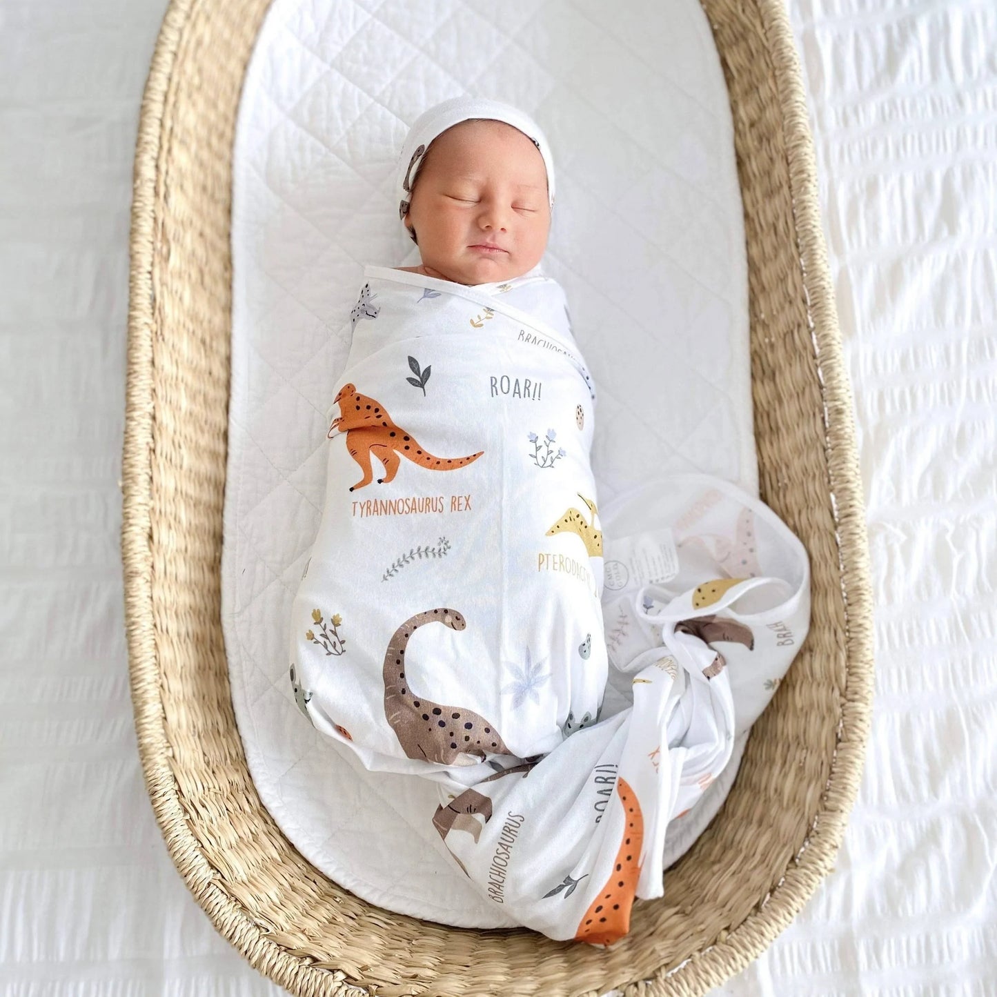 DINO LAND SWADDLE SET