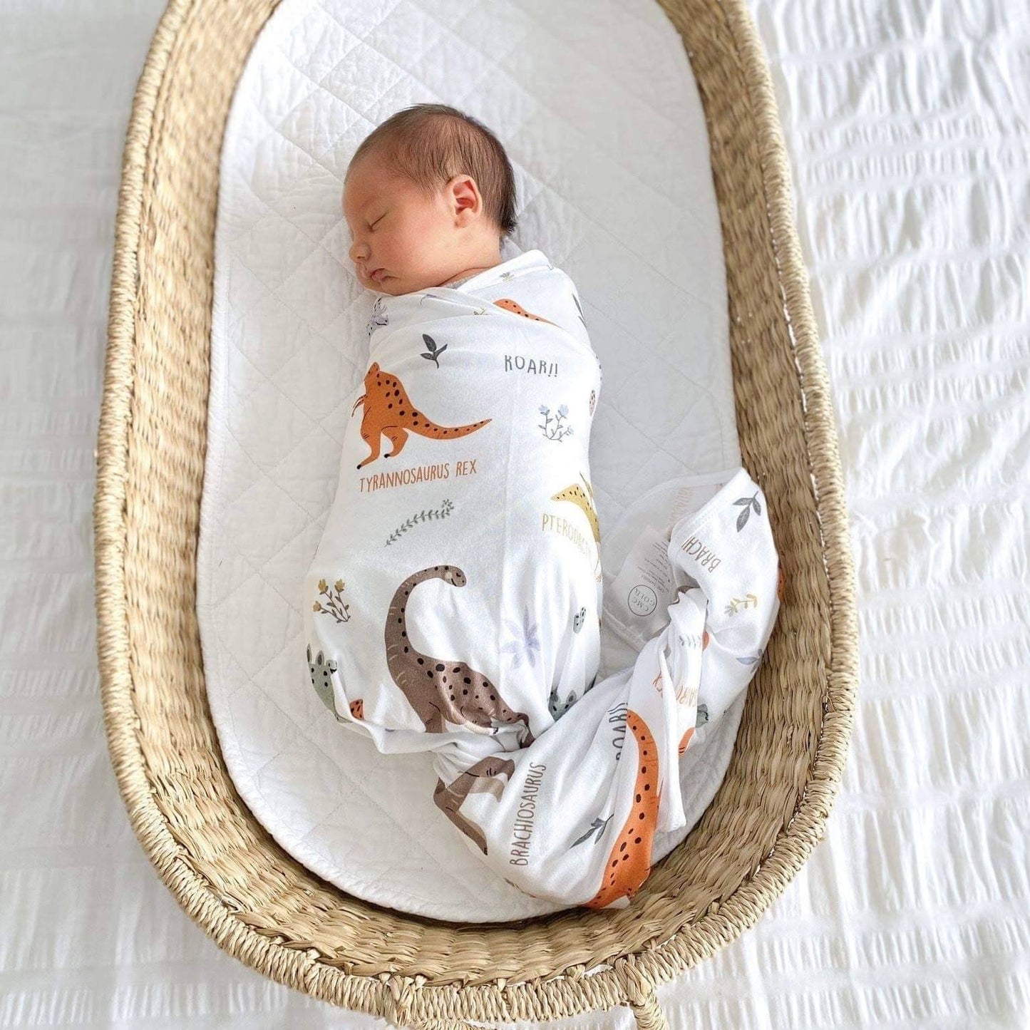 DINO LAND SWADDLE SET